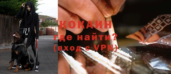 индика Верхний Тагил