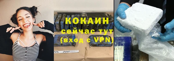 индика Верхний Тагил