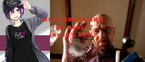 индика Верхний Тагил
