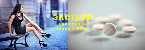 индика Верхний Тагил