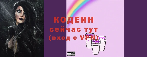 индика Верхний Тагил