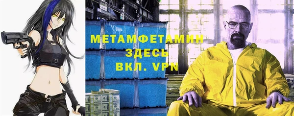индика Верхний Тагил