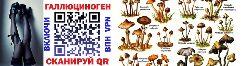 Галлюциногенные грибы MAGIC MUSHROOMS  Кашин 