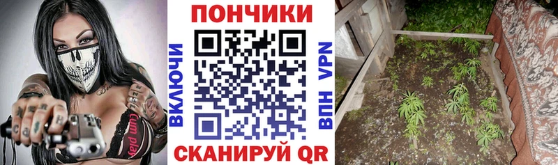 Бошки марихуана тримм  Кашин 